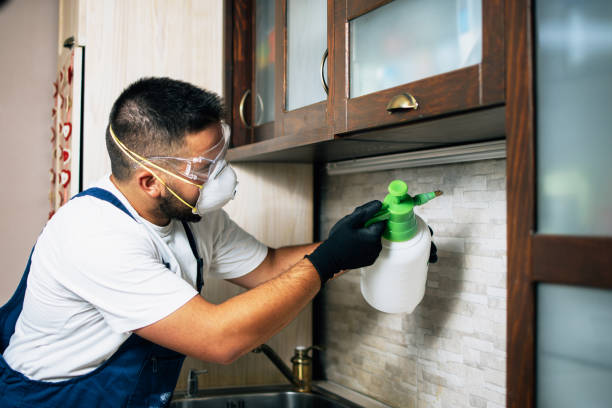 Best Exterminator Services  in Olga, FL