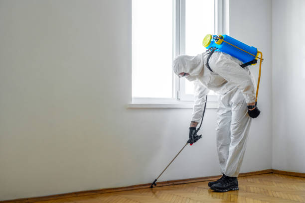 Wasp Removal Services in Olga, FL