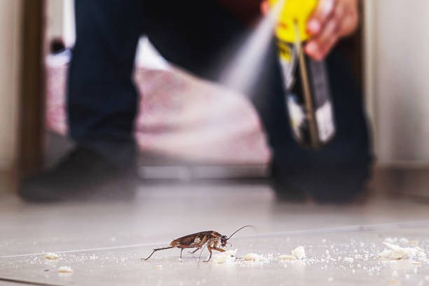 Best Cockroach Control Services  in Olga, FL