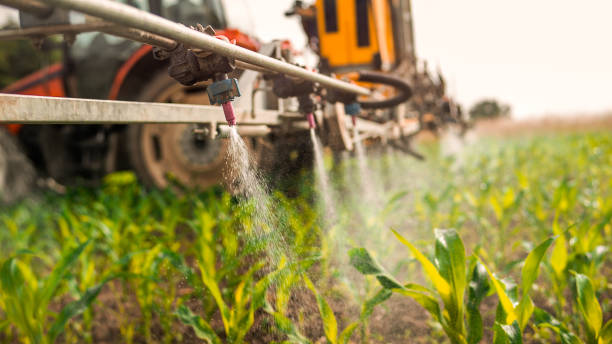 Best Ant Control Services  in Olga, FL